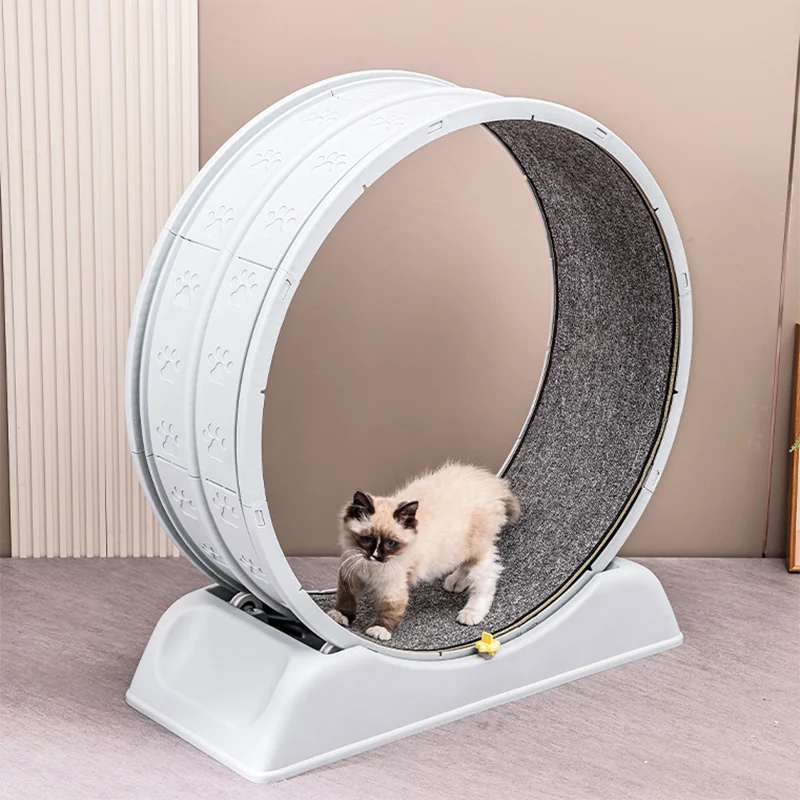 1Pc Indoor Cat Roller Treadmill Silent Non-Electric Pet Exercise Wheel Cylindrical Tread Design Safe Ramp Promotes Pet Health