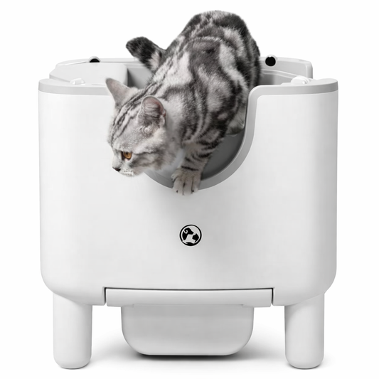 Revolutionary F6 Open-Top Automatic Cat Litter Box: Self-Cleaning, Odor-Free, and Safe for Your Feline Friend