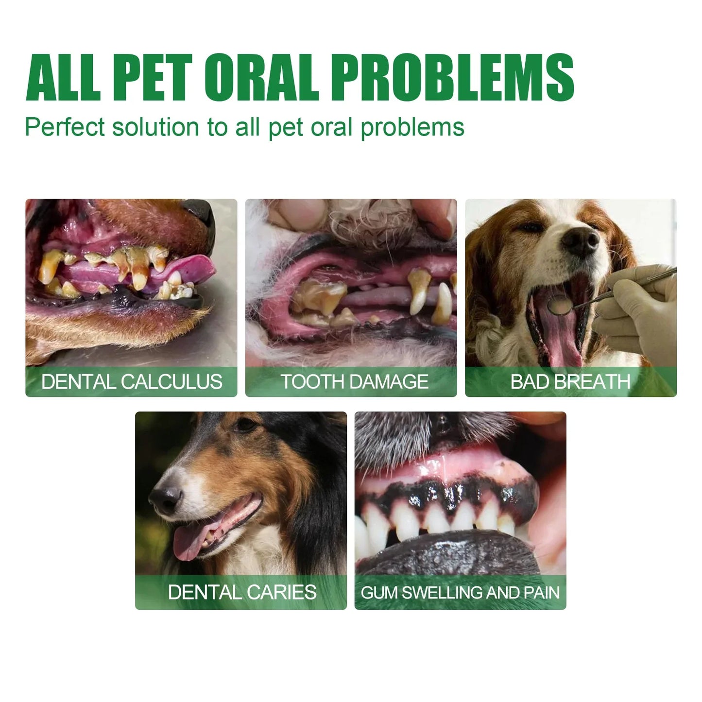 Pet Oral Care Spray - Dental Freshener and Tartar Remover for Dogs