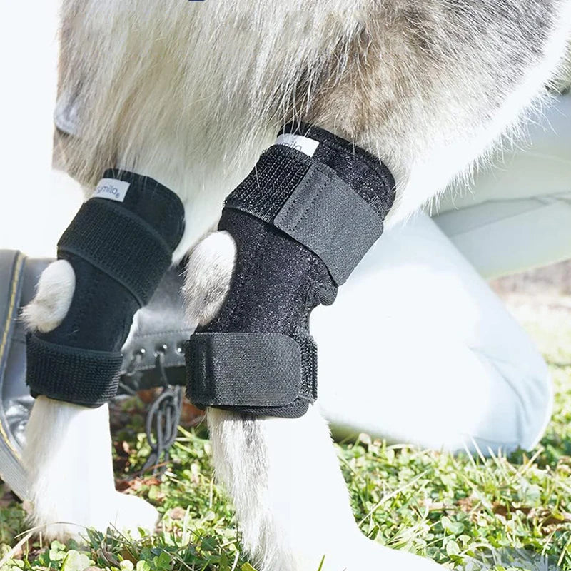 Dog Protector Support Protects Bandage Pet Knee Pads Dog Injury Recovery for Leg Hock Joint Brace Pet Knee Pads Protects Bandage
