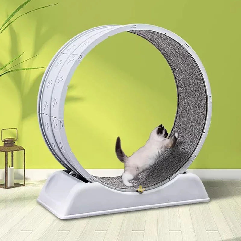 1Pc Indoor Cat Roller Treadmill Silent Non-Electric Pet Exercise Wheel Cylindrical Tread Design Safe Ramp Promotes Pet Health