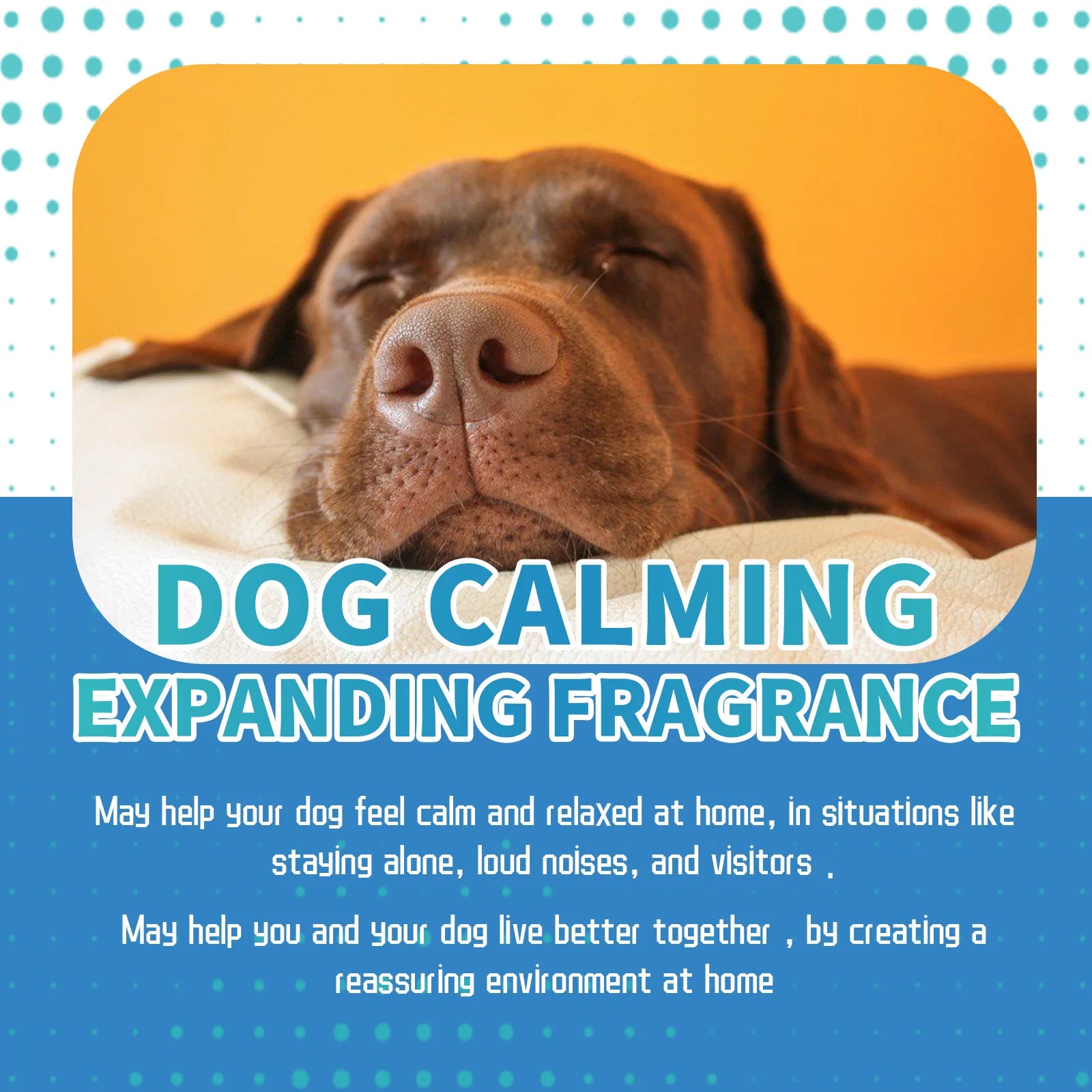 Dog Calming Liquid Noise Reduction anti Anxiety Relieve Emotions Stress Prevent Howling Fighting Soothing Cat Calming Diffuser