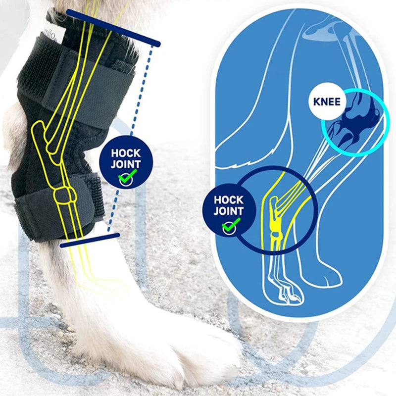 Dog Protector Support Protects Bandage Pet Knee Pads Dog Injury Recovery for Leg Hock Joint Brace Pet Knee Pads Protects Bandage